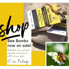 Bee Bombs - Wild Flower Seed 